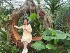 -上海鲜花港