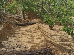 -遵化市禅林寺古银杏风景园