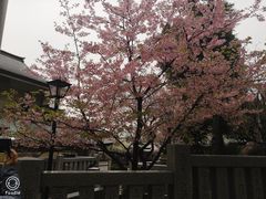 -上野公园花园稻荷神社(忍岡稲荷神社)