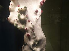 -中华赏石园