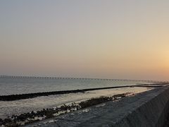 -南汇嘴观海公园