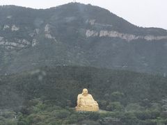 -山东省千佛山医院
