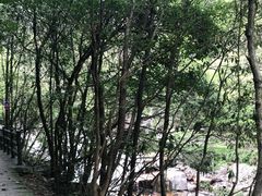 -大鄣山卧龙谷景区