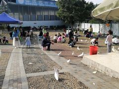 -飞来湖湿地公园