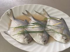 -上海老范农家乐(崇明前卫村店)