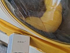 -半岛宠物医院24小时(科华中路店)