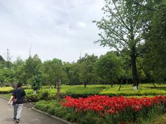 -铁山坪森林公园