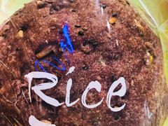 -RiceZone乐食尊纯米面包坊(望京店)