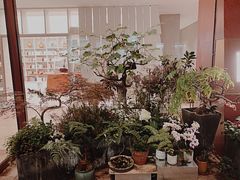 -二酉书店TOYOU BOOKS