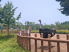 -日照海滨国家森林公园