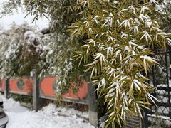 -北京石刻艺术博物馆(五塔寺)