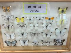 -上海滨江森林公园