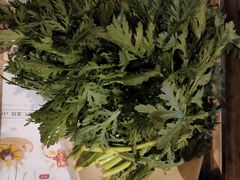 茼蒿-蜀大侠火锅(建设路第五大道店)