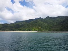 -杨梅坑