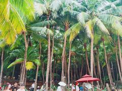 -海南分界洲岛旅游区