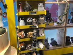 -香港会议展览中心演讲厅