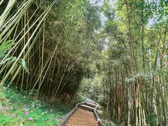 -菊花台公园
