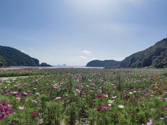 -东海半边山旅游度假区