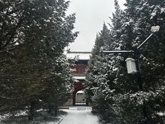 -月坛公园