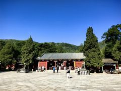 -香山公园