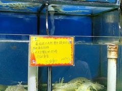 水产区-蚝专家(北滘店)