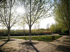 -永定河休闲森林公园