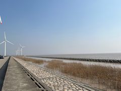 -上海海湾国家森林公园