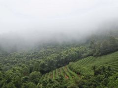 -敬亭山风景名胜区