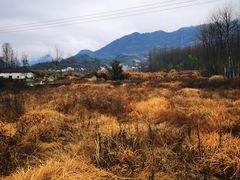 -黟县屏山村