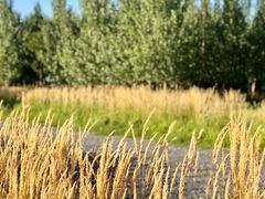 -汉长安城未央宫国家考古遗址公园