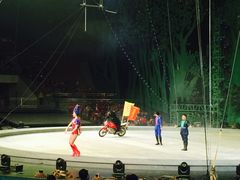 -灵玲国际马戏城