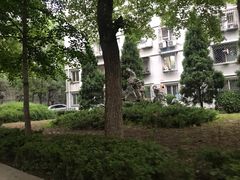 -中央民族大学