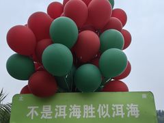 -沿途四季·云南菜·诗酒茶(蓝色港湾店)