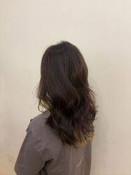 -YESIDO椰岛造型