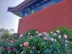 -北京市劳动人民文化宫(太庙)