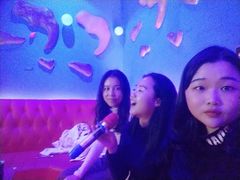 -欢唱KTV(映月湖环宇城店)