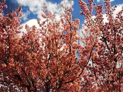 -天龙八部武侠城