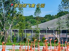 -圣淘沙天际线斜坡滑车
