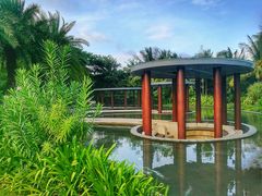 -海棠湾洲际-涛·海底餐厅·美人鱼·自助餐·海底隧道