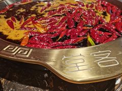 -堂客老火锅(欣阳广场总店)