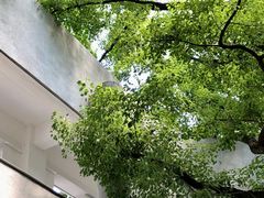 -湖北美术学院(昙华林校区)