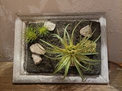 -白氏兄弟烧烤(富康路总店)