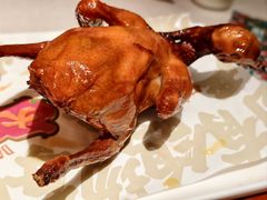 -大鸽饭(岗顶店)