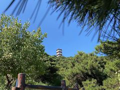 -北京十三陵国家森林公园蟒山景区