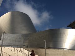 -华特·迪士尼音乐厅