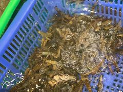 -鹰龙海畔度假酒店(咸祥店)