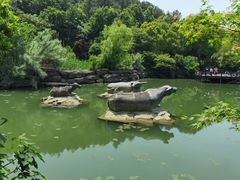 -虞山风景区