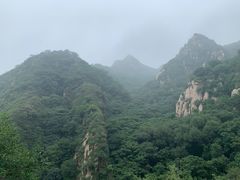 -大岭沟猕猴桃谷风景区