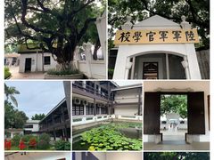 -鱼珠码头(轮渡站)