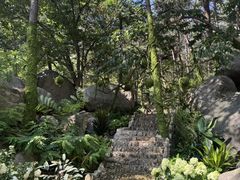 -沂蒙山旅游区云蒙景区(蒙山国家森林公园)